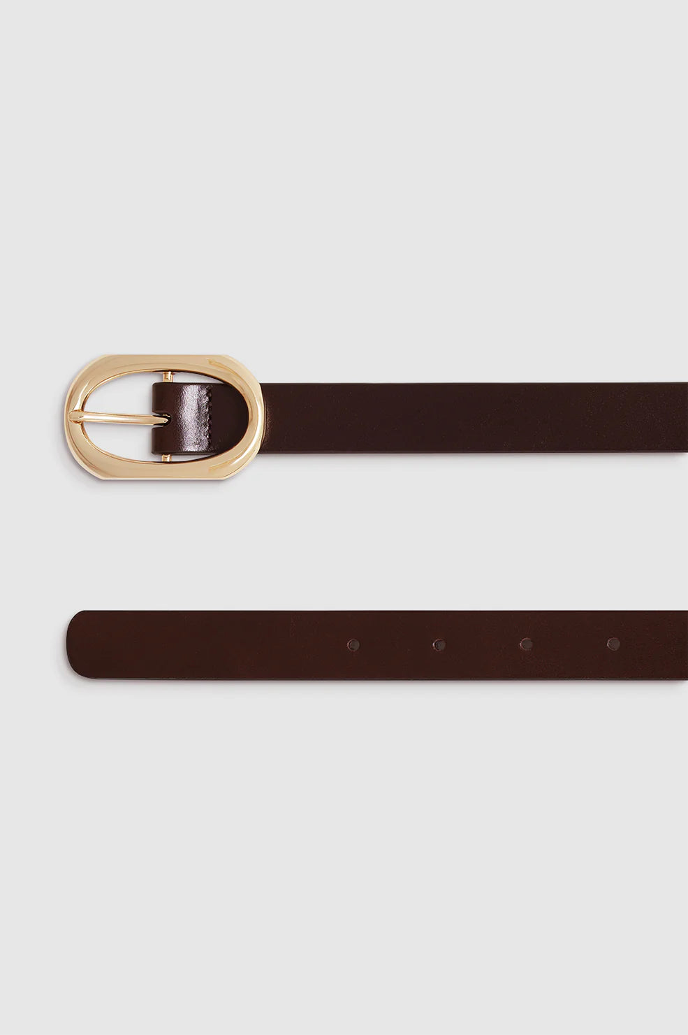 Small Signature Link Belt in Dark Brown with Gold