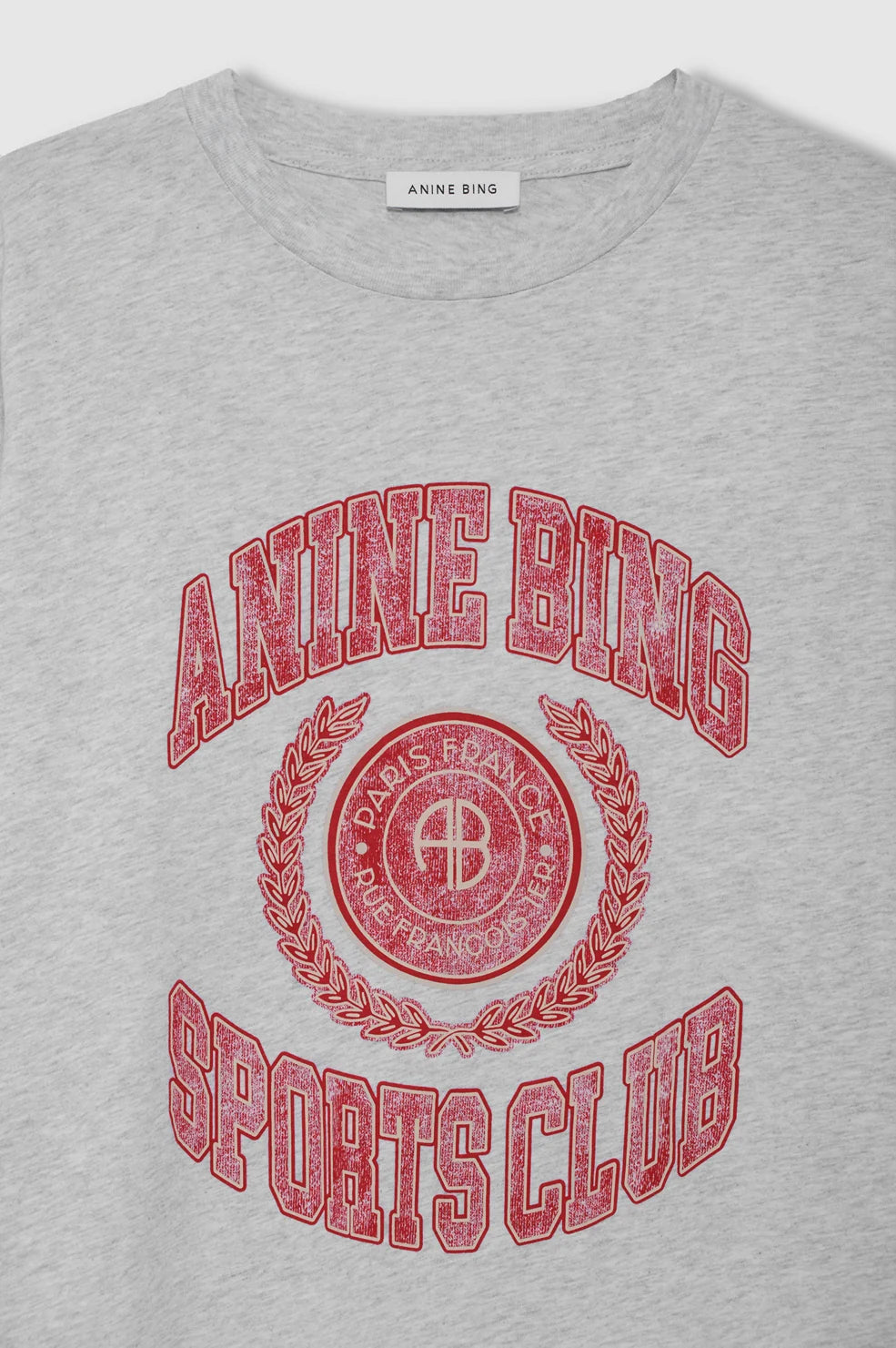Cade Tee Collegiate in Grey