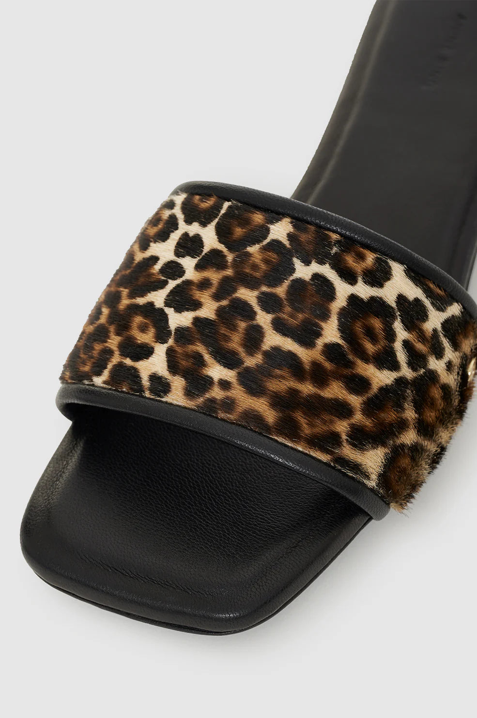 Ria Slides in Leopard