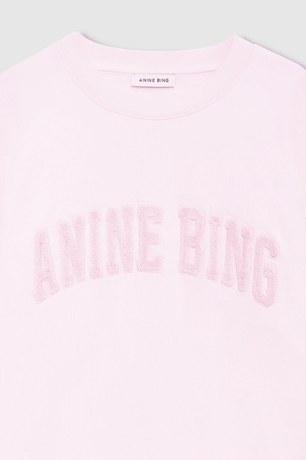 Spencer Sweatshirt Anine Bing in Powder Pink