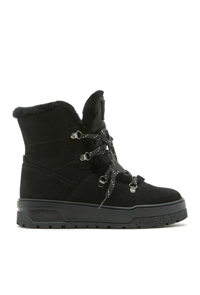 Excellent Shearling-Lined Suede Bootie in Black
