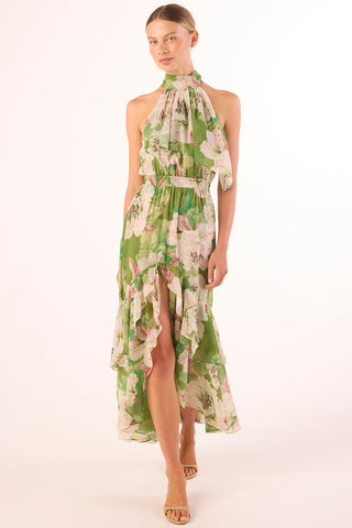 Aneva Dress in Full Bloom