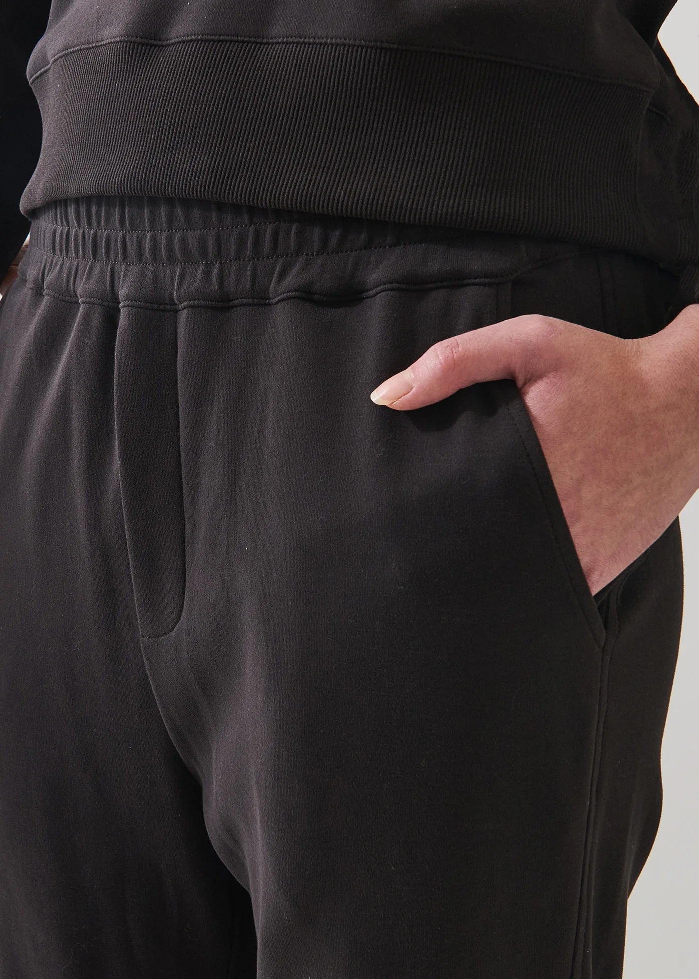 Brushed Pima Cotton Tapered Pant in Molasses