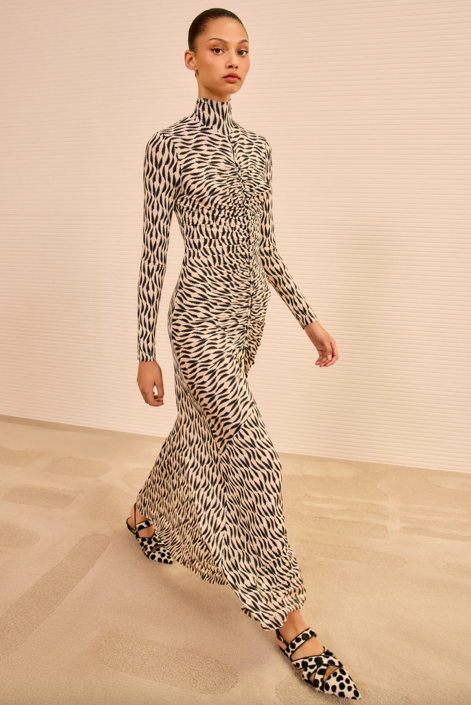 Ida Long Sleeve Ruched Turtleneck Dress in Silhouette