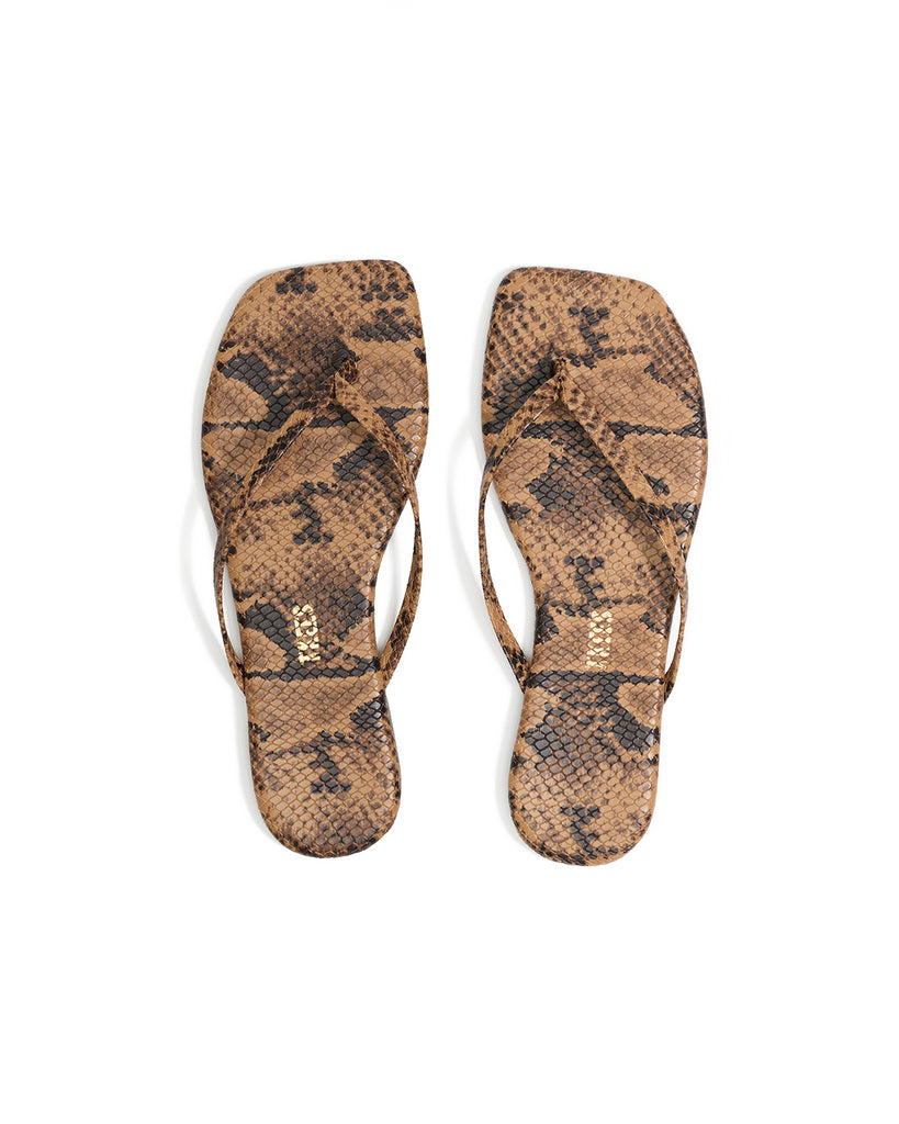 Square Toe Exotics in Coco Snake