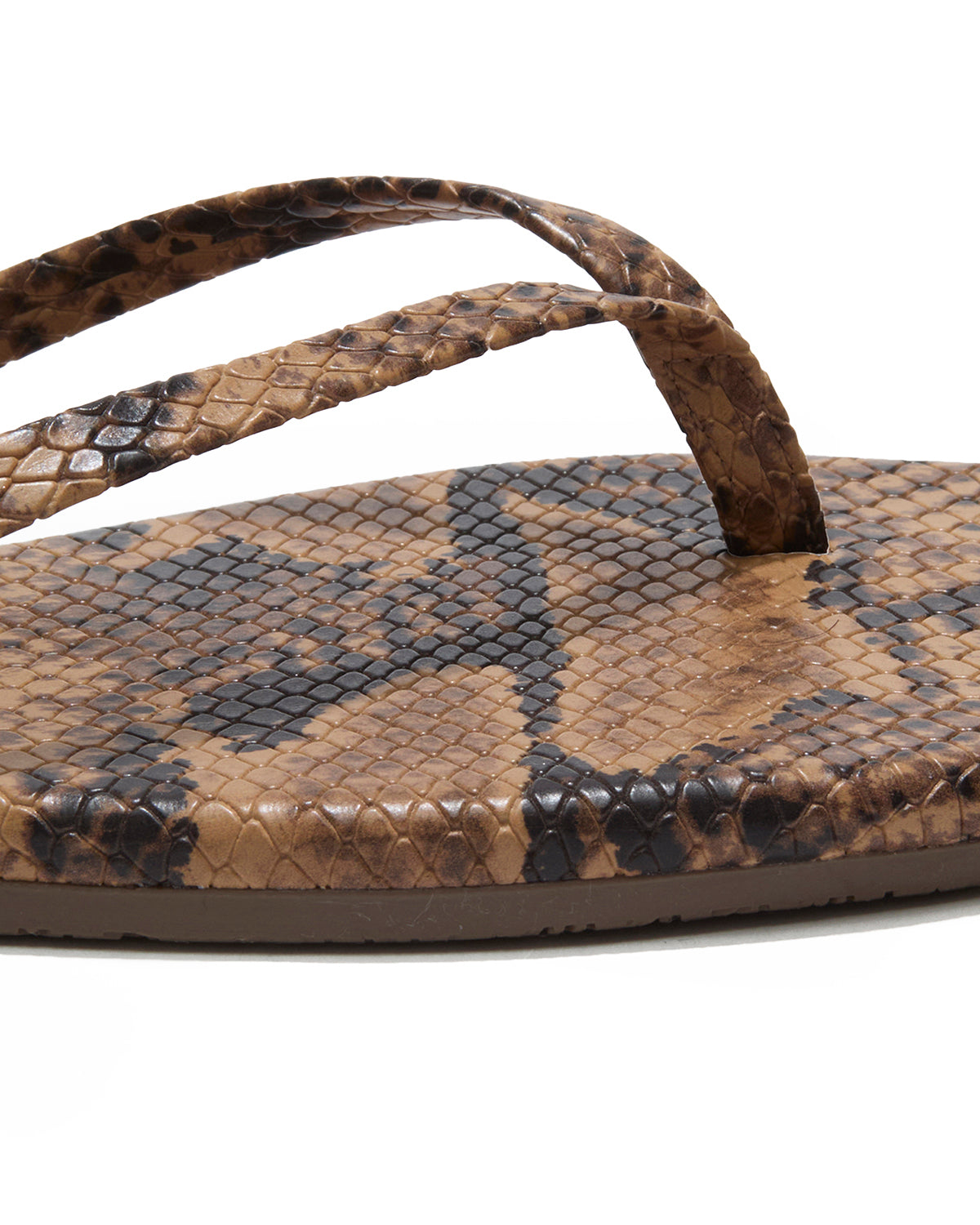 Square Toe Exotics in Coco Snake